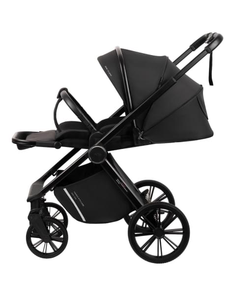 Коляска 2 в 1 Indigo STING черный
