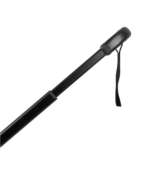 Коляска 2 в 1 Indigo STING черный