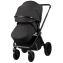 Коляска 2 в 1 Indigo STING черный