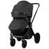 Коляска 2 в 1 Indigo STING черный