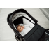 Коляска 2 в 1 Labala Raiz Basic Line 2023, Black (Черный)