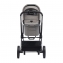 Коляска 2 в 1 Labala Raiz Basic Line 2023, Grey (Серый)