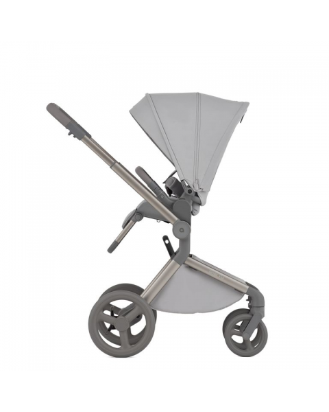 Детская коляска 2 в 1 Anex Flo (fl-06c) Frossy
