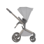 Детская коляска 2 в 1 Anex Flo (fl-06c) Frossy