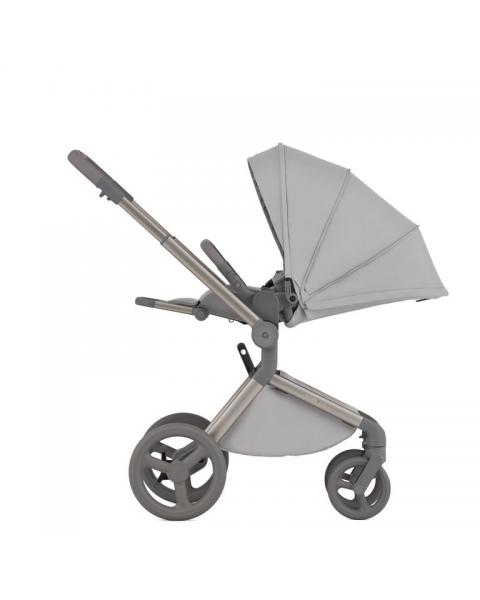 Детская коляска 2 в 1 Anex Flo (fl-06c) Frossy