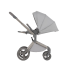 Детская коляска 2 в 1 Anex Flo (fl-06c) Frossy