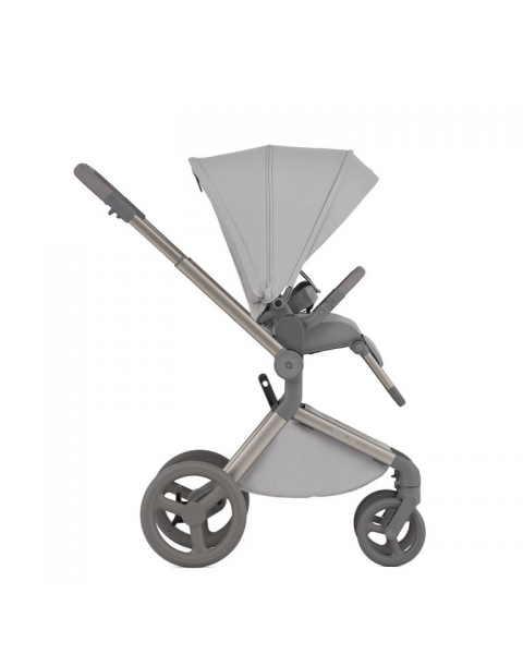 Детская коляска 2 в 1 Anex Flo (fl-06c) Frossy