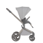 Детская коляска 2 в 1 Anex Flo (fl-06c) Frossy
