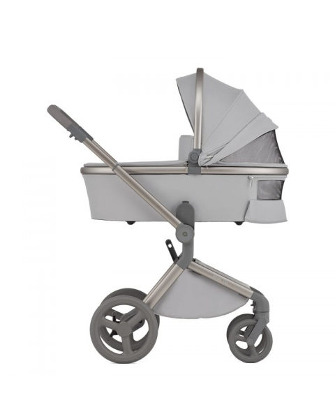 Детская коляска 2 в 1 Anex Flo (fl-06c) Frossy