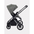 Коляска 2в1 Rant Falcon Therm Dark Green