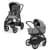 Коляска Inglesina Aptica XT System Duo 2 в 1 2025 Canyon Grey