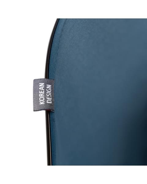 Коляска прогулочная Agex Maxi, Blue (Синий)
