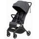 Коляска прогулочная Carrello Solo CRL- 5531, Chrome Grey (Серый)