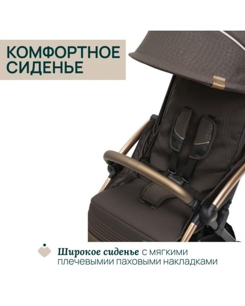 Коляска прогулочная Chicco XPlus, Bronze Lizard Re Luxe (Коричневый)