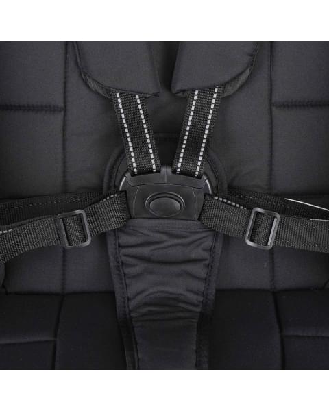 Коляска прогулочная Indigo ERA черный