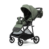 Коляска прогулочная Peppy Amici, Green / шасси Black