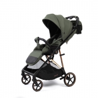 Коляска прогулочная Peppy Amici LX, Green / шасси Gold
