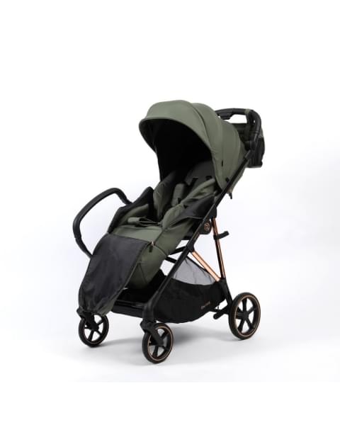 Коляска прогулочная Peppy Amici LX, Green / шасси Gold