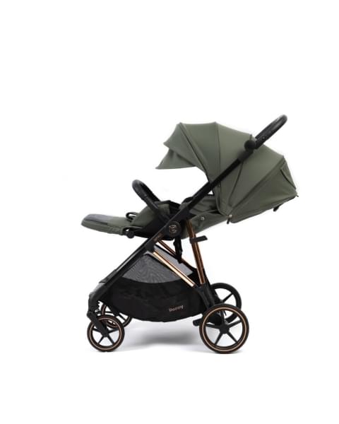 Коляска прогулочная Peppy Amici LX, Green / шасси Gold