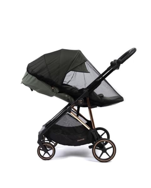 Коляска прогулочная Peppy Amici LX, Green / шасси Gold