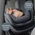 Коляска 3 в 1 Britax Roemer Smile 5Z LUX, Linen Grey + BABY-SAFE CORE Space Black