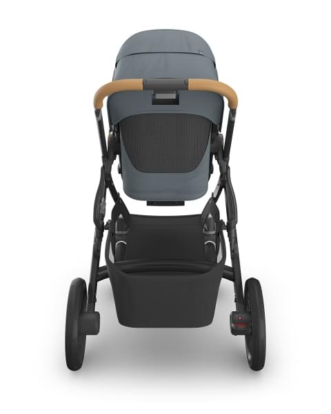 Коляска 2в1 UPPAbaby VISTA V3 DILLAN