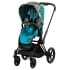 Прогулочная коляска Cybex Priam IV We The Best/Matt Black