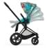 Прогулочная коляска Cybex Priam IV We The Best/Matt Black