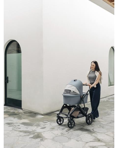 Коляска 2в1 UPPAbaby VISTA V3 DILLAN