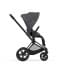 Сменный чехол Seat Pack для коляски Cybex Priam IV Fashion Collection, FE Simply Flowers Grey (Серый)