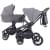 Детская коляска Rant Flex 2 в 1 RA076 Graphite