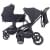 Детская коляска Rant Flex 2 в 1 RA076 Black