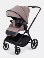 Детская прогулочная коляска Rant Moss Coffee