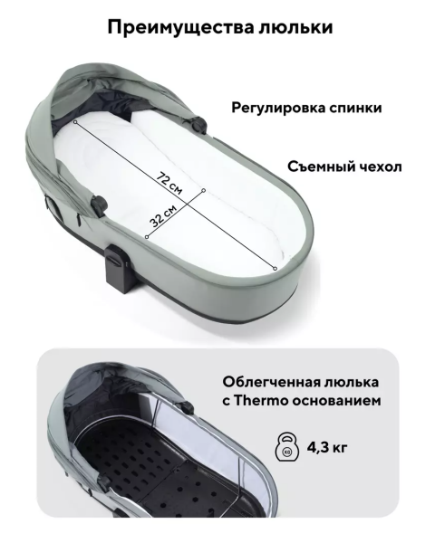 Коляска 2 в 1 Rant Flex Soft Therm Forest green 2025