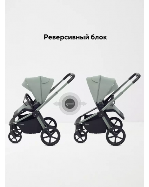 Коляска 2 в 1 Rant Flex Soft Therm Forest green 2025