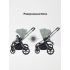 Коляска 2 в 1 Rant Flex Soft Therm Forest green 2025