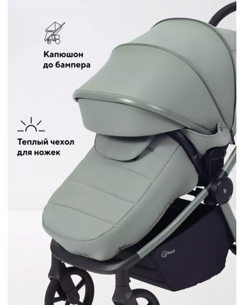 Коляска 2 в 1 Rant Flex Soft Therm Forest green 2025