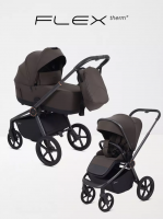Коляска 2 в 1 Rant Flex Soft Therm Shine brown 2025