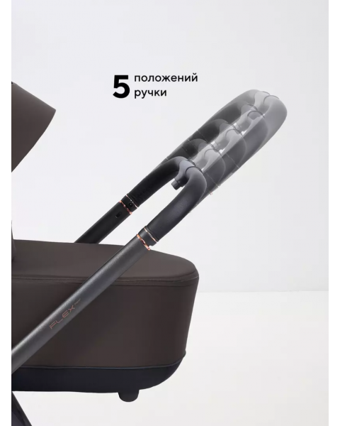 Коляска 2 в 1 Rant Flex Soft Therm Shine brown 2025
