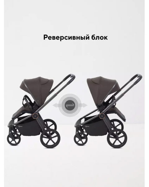 Коляска 2 в 1 Rant Flex Soft Therm Shine brown 2025