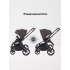 Коляска 2 в 1 Rant Flex Soft Therm Shine brown 2025