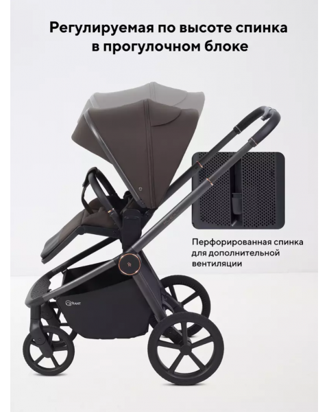 Коляска 2 в 1 Rant Flex Soft Therm Shine brown 2025