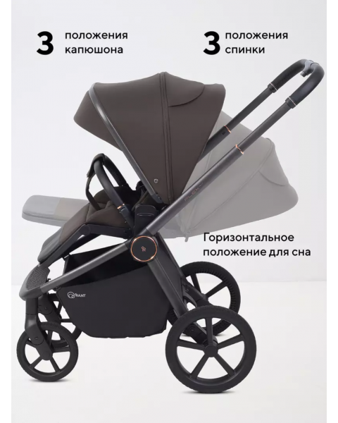 Коляска 2 в 1 Rant Flex Soft Therm Shine brown 2025
