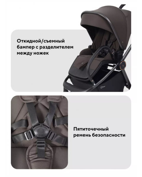 Коляска 2 в 1 Rant Flex Soft Therm Shine brown 2025