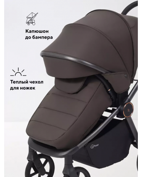 Коляска 2 в 1 Rant Flex Soft Therm Shine brown 2025