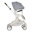 Детская прогулочная коляска Farfello Stella Уникальный Серый/Unique Grey STL-2