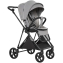 Детская прогулочная коляска Pituso Carbon RX Horizon Grey/рама carbon