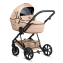 Коляска 2 в 1 Tutis Viva 6+ Teddy, Creamy (111)
